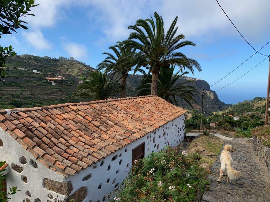 Casa Rural Emilia Villa Agulo Exterior photo